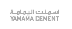 شريك 2